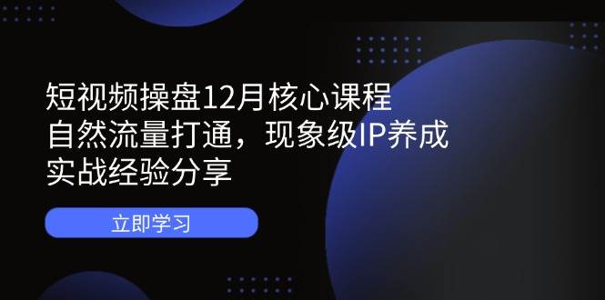 短视频操盘12月核心课程：自然流量打通，现象级IP养成，实战经验分享插图