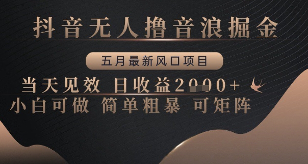 抖音无人撸音浪掘金，五月最新风口项目，当天见效，日收益多张，小白可做简单粗暴可矩阵插图