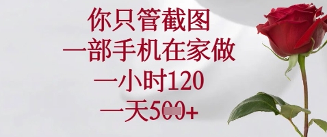 你只管截图，一部手机在家做，苹果安卓都可以，一小时120，一天5张+插图