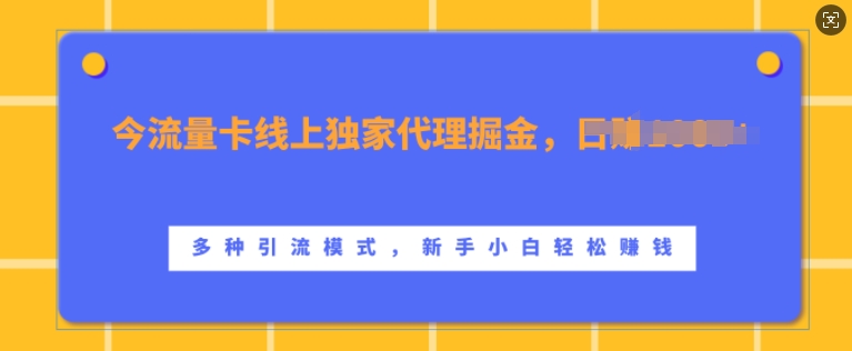 流量卡线上独家代理掘金，日入1k+ ，多种引流模式，新手小白轻松上手插图