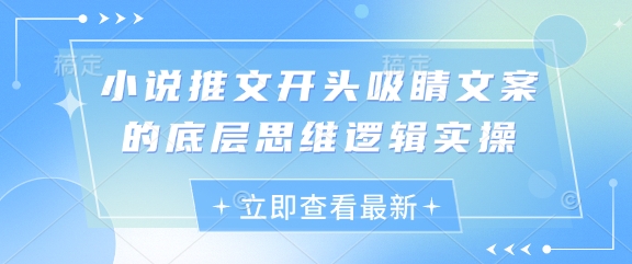 小说推文开头吸睛文案的底层思维逻辑实操插图