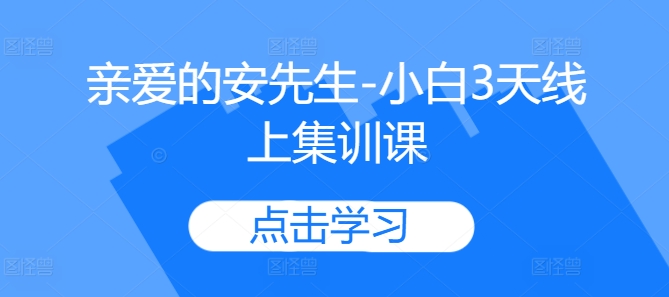 亲爱的安先生-小白3天线上集训课插图