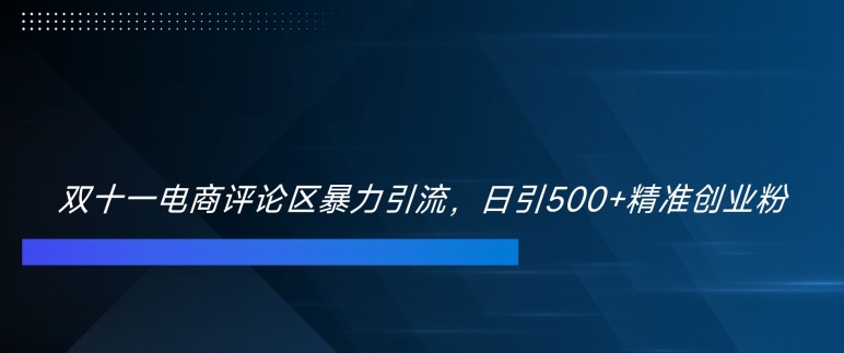 双十一电商评论区暴力引流，日引500+精准创业粉插图