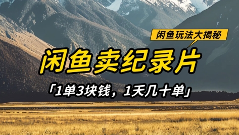 闲鱼卖纪录片1单3块钱，1天几十单，项目稳定有潜力插图