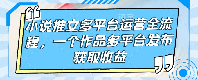 小说推文多平台运营全流程，一个作品多平台发布获取收益插图
