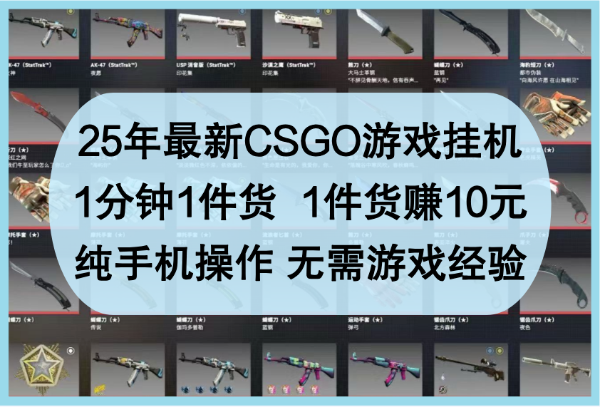 25年最新CSGO游戏挂机，1分钟1件货，1件货赚10元，纯手机操作，无需游戏经验插图