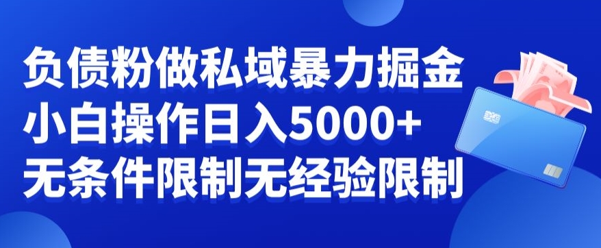 负债粉私域暴力掘金，小白操作入5000，无经验限制，无条件限制插图