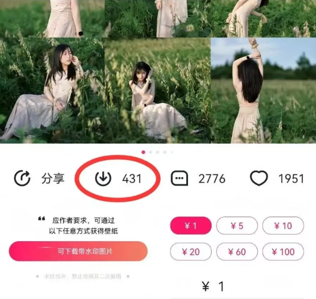 最新图虫搬运项目，收益无上限，利用AI小白也可日赚500+插图1