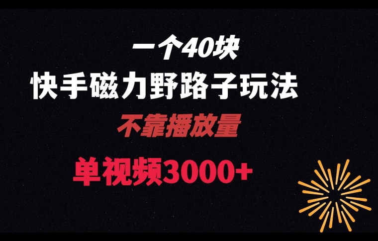 一个40块，快手联合美团磁力新玩法，无视机制野路子玩法，单视频收益4位数【揭秘】插图