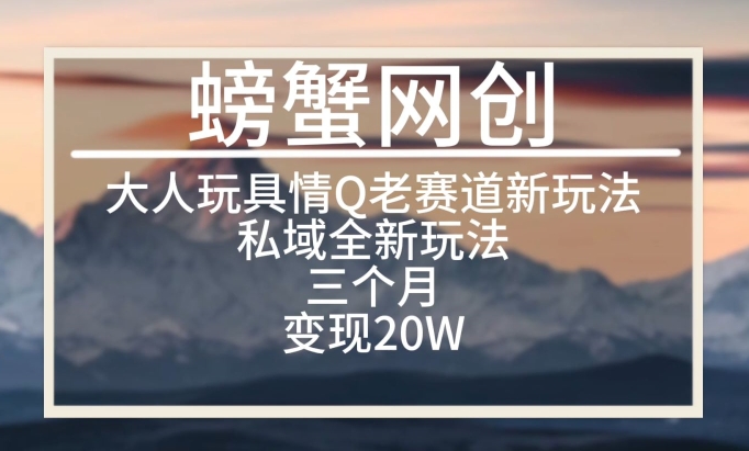 大人玩具情Q用品赛道私域全新玩法，三个月变现20W，老项目新思路插图