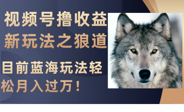 视频号撸收益新玩法之狼道，目前蓝海玩法轻松月入过万！插图