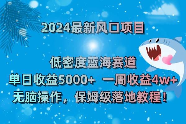 2024最新风口项目 低密度蓝海赛道，日收益5000+周收益4w+ 无脑操作，保…插图1