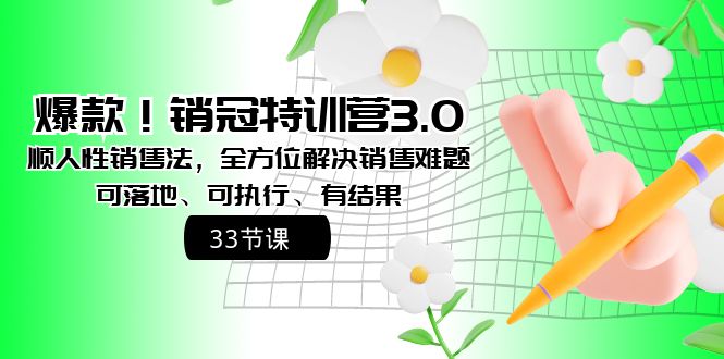 爆款！销冠特训营3.0之顺人性销售法，全方位解决销售难题、可落地、可执…插图