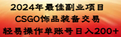 2024年最佳副业项目 CSGO饰品装备交易 轻易操作单账号日入200+插图
