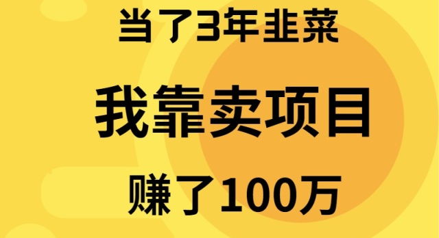 当了3年韭菜，我靠卖项目赚了100万插图