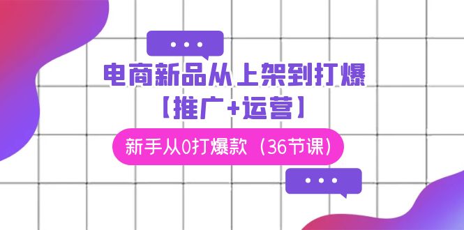 电商 新品从上架到打爆【推广+运营】，新手从0打爆款（36节课）插图