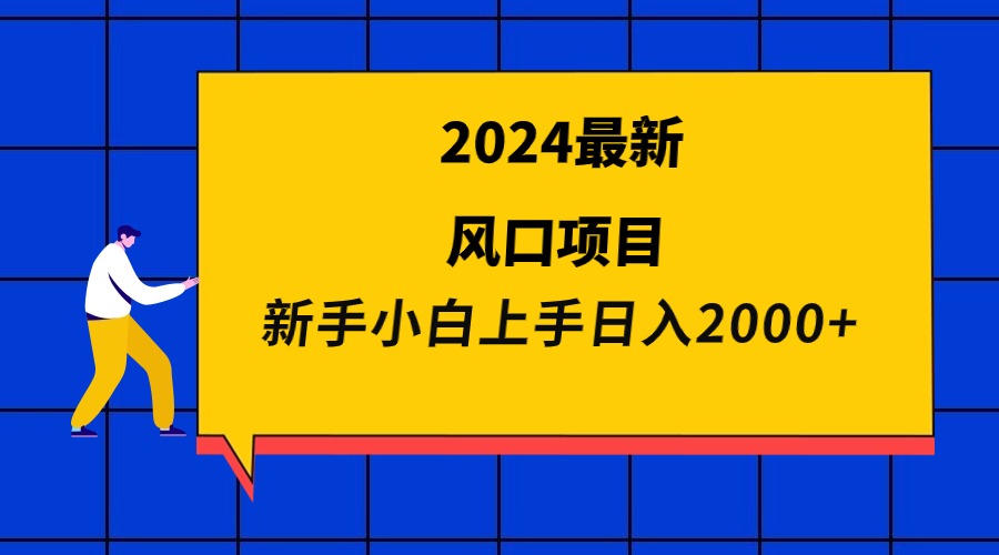 2024最新风口项目 新手小白日入2000+插图