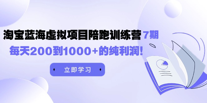 黄岛主《淘宝蓝海虚拟项目陪跑训练营7期》每天200到1000+的纯利润插图