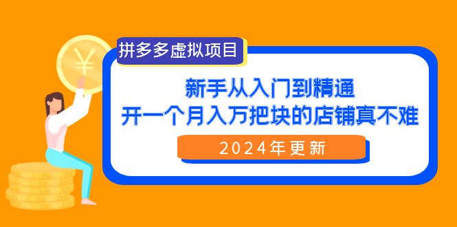 拼多多虚拟项目：入门到精通，开一个月入万把块的店铺 真不难（24年更新）插图