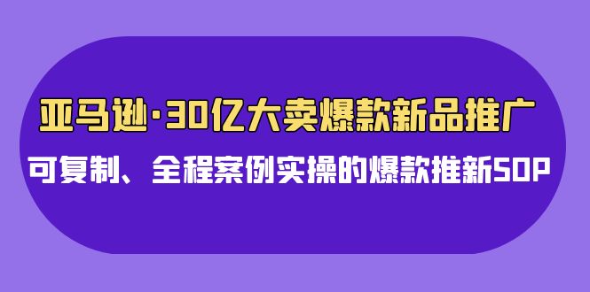 亚马逊30亿·大卖爆款新品推广，可复制、全程案例实操的爆款推新SOP插图