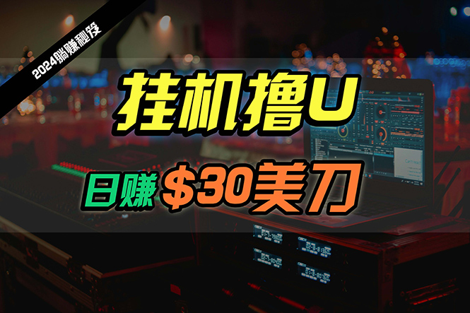 日赚30美刀，2024最新海外挂机撸U内部项目，全程无人值守，可批量放大插图