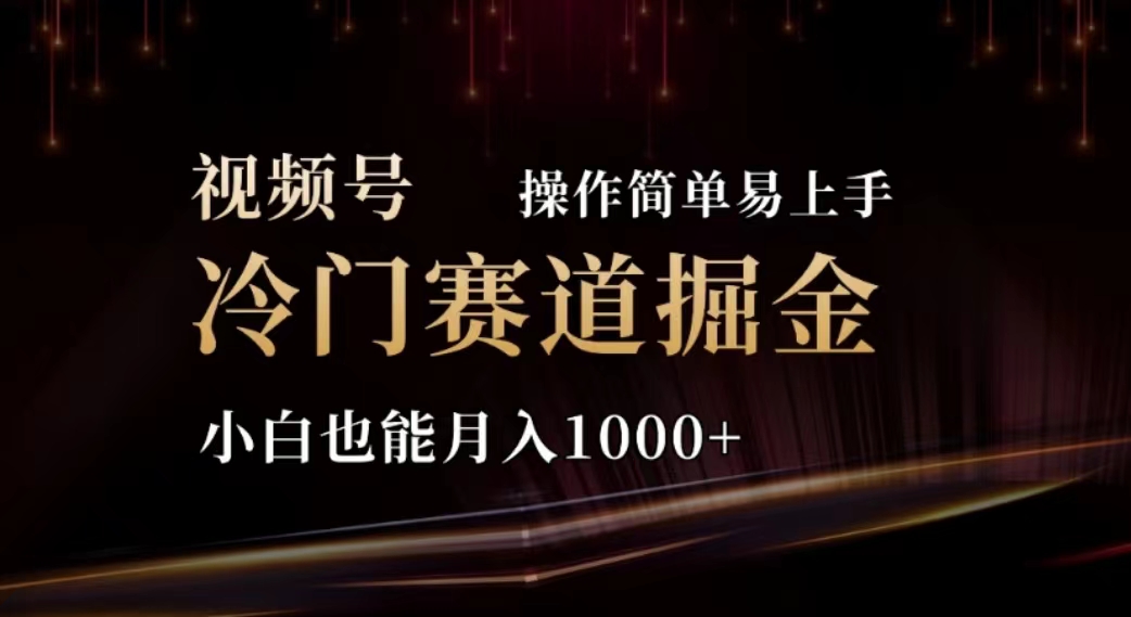 2024视频号冷门赛道掘金，操作简单轻松上手，小白也能月入1000+插图
