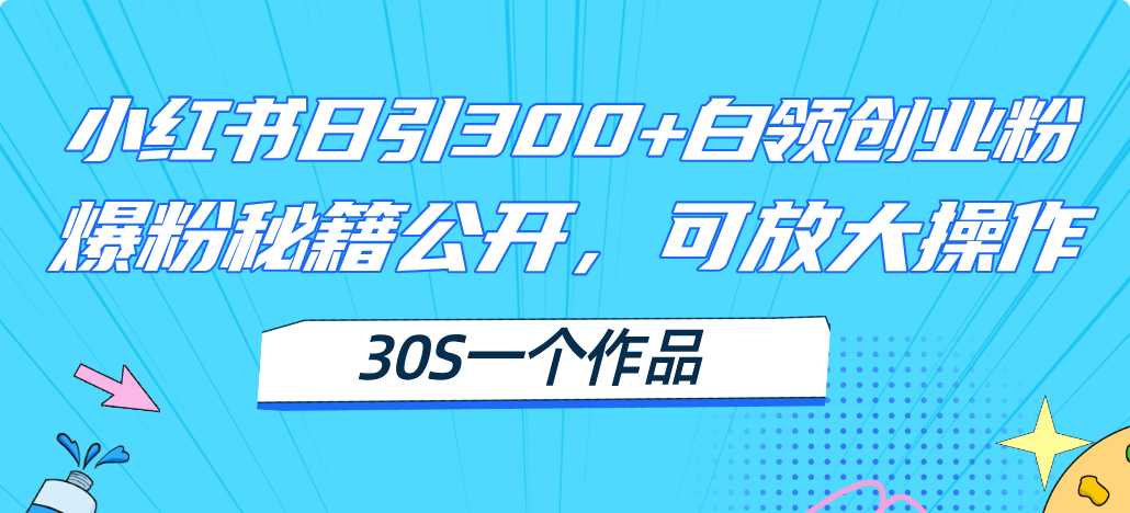 小红书日引300+高质白领创业粉，可放大操作，爆粉秘籍！30s一个作品插图