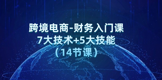 跨境电商-财务入门课：7大技术+5大技能（14节课）插图