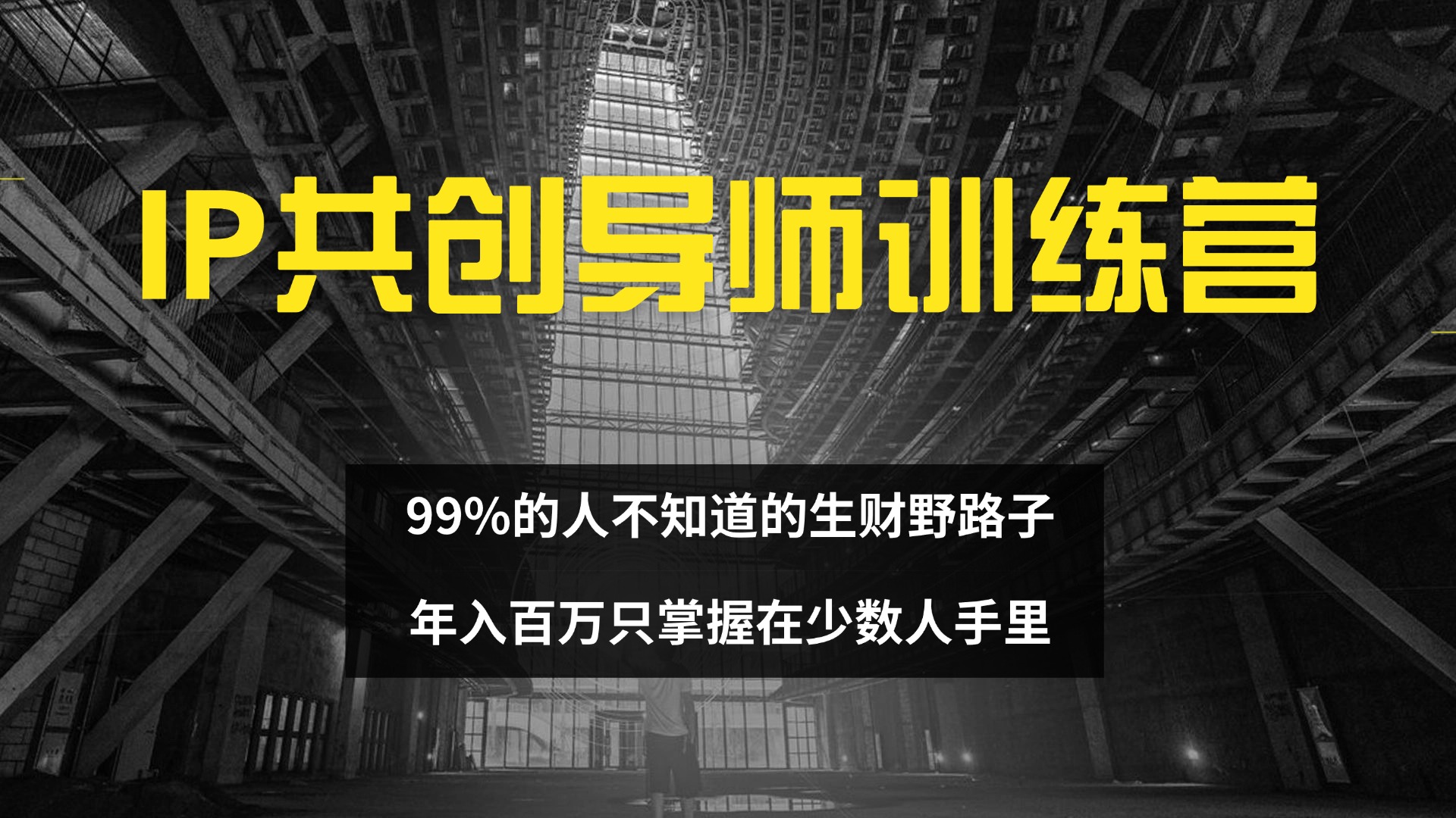IP共创导师训练营 99%的人不知道的生财野路子 只掌握在少数人手里插图