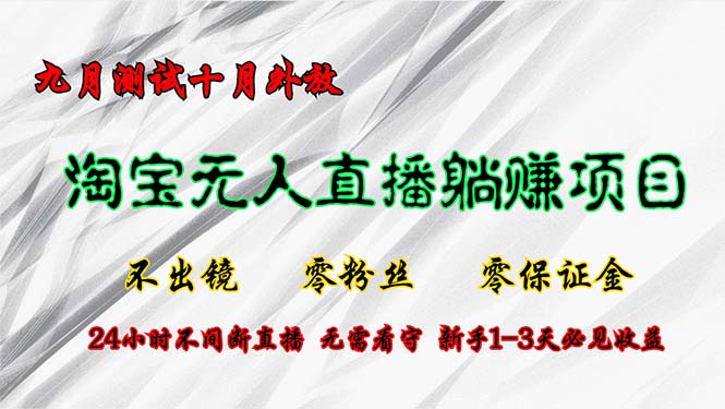 淘宝无人直播最新玩法，九月测试十月外放，不出镜零粉丝零保证金，24小…插图