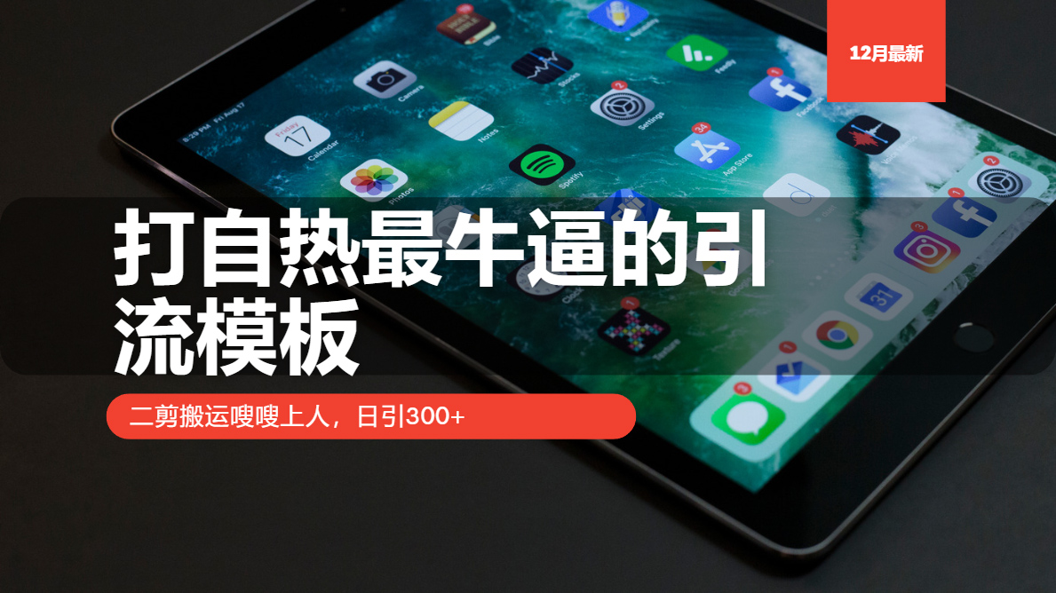 打自热最牛逼的引流模板，二剪搬运嗖嗖上人，日引300+插图