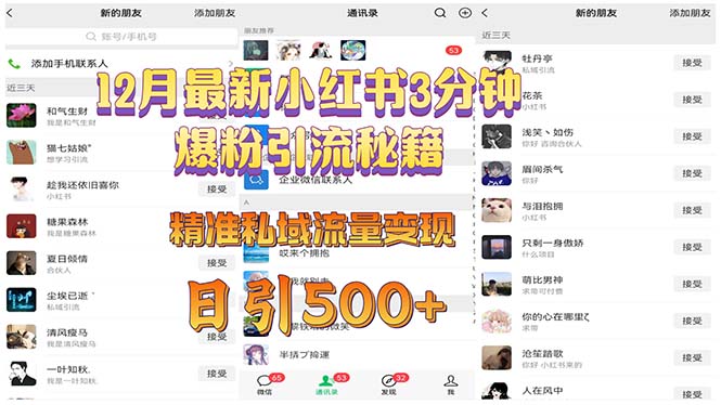 12月最新小红书3分钟爆粉引流秘籍 精准私域流量变现 日引500+插图