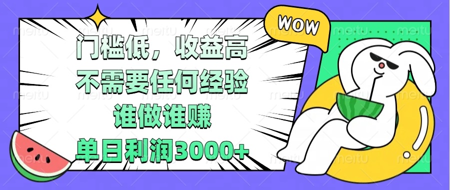 门槛低，收益高，不需要任何经验，谁做谁赚，单日利润3000+插图