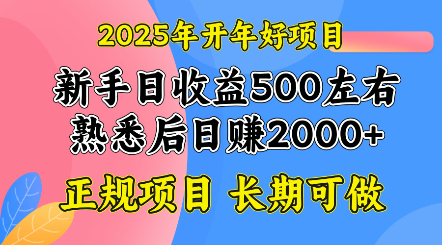 2025开年好项目，单号日收益2000左右插图