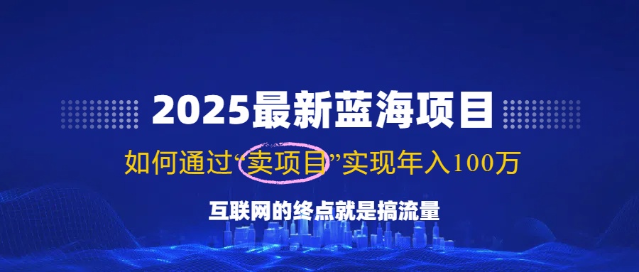 2025最新蓝海项目，零门槛轻松复制，月入10万+，新手也能操作！插图