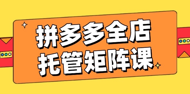 拼多多全店托管矩阵课，盈利动销玩法，高效计划设置，提升店铺效益插图