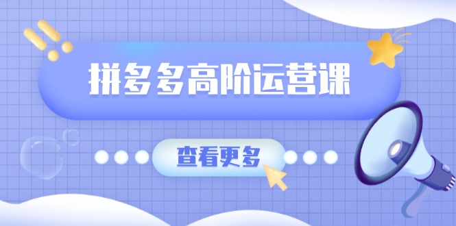拼多多高阶运营课：极致群爆款玩法，轻付费无尽复制，打造单品爆款之路插图
