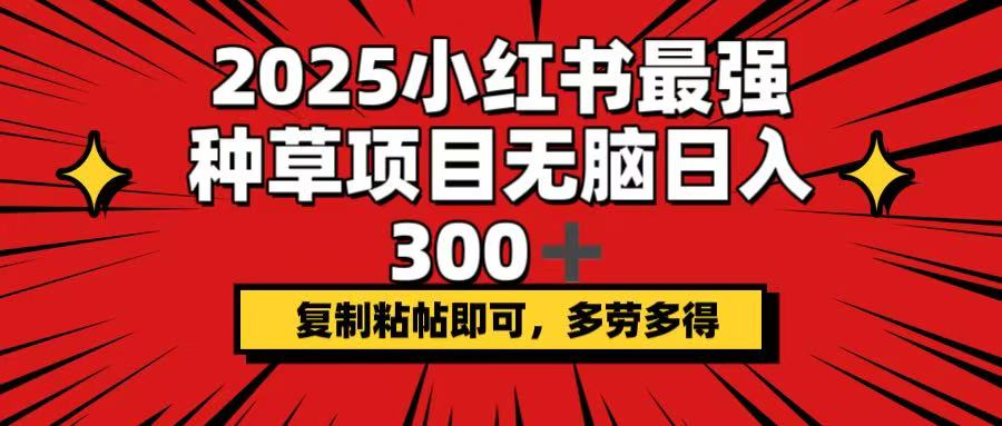 2025小红书最强种草项目，无脑日入300+，复制粘帖即可，多劳多得插图