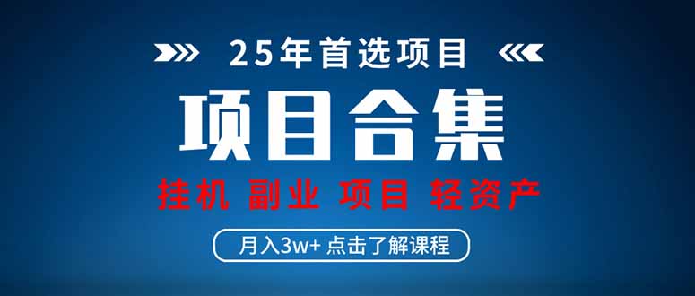 2025 实操项目合集 挂机类型 直播类型 轻资产创业类型 课程分享各项目…插图