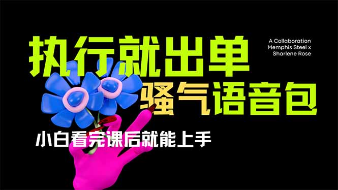 爆火全网的开车导航骚气语音包,只要执行就出单，小白看完课程就能实操…插图