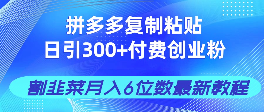 拼多多复制粘贴日引300+付费创业粉，割韭菜月入6位数最新教程！插图