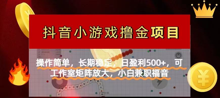 【抖音小游戏发行人计划项目】操作简单，长期稳定，日盈利500+，可工作…插图