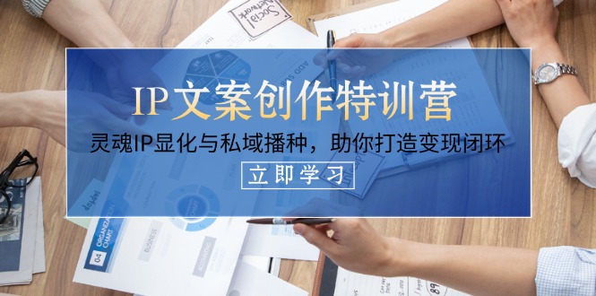 IP文案创作特训营，灵魂IP显化与私域播种，助你打造变现闭环（14节课）插图