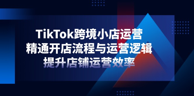 TikTok跨境小店运营，精通开店流程与运营逻辑，提升店铺运营效率插图