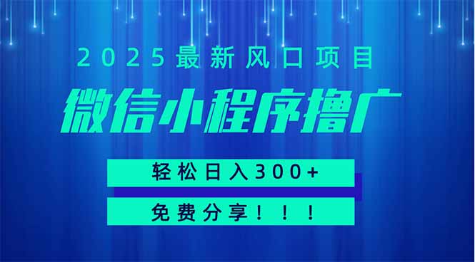 微信小程序撸广，最新风口项目，日入300+ 免费分享 可批量操作 小白可…插图