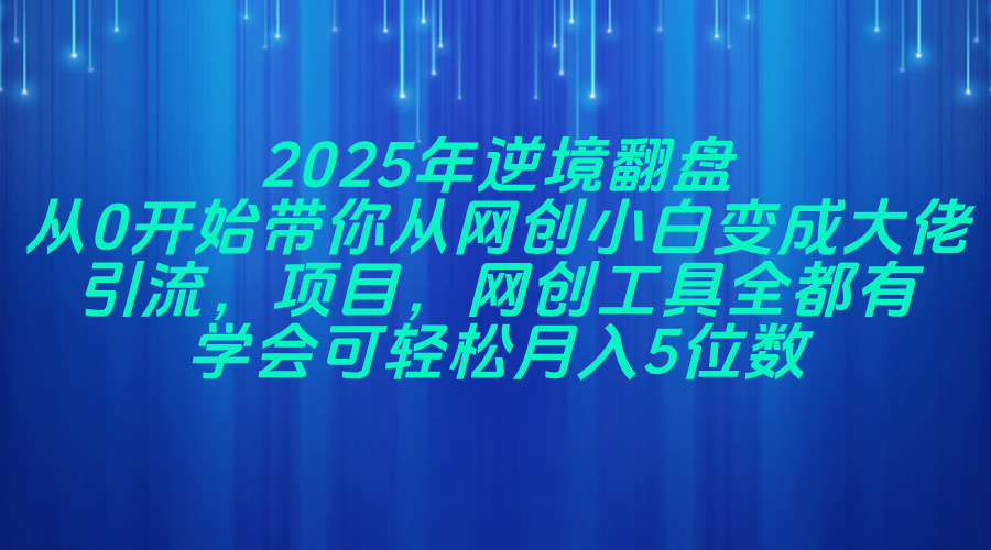 2025年逆境翻盘，从0开始带你从网创小白变成大佬，引流，项目，网创工…插图