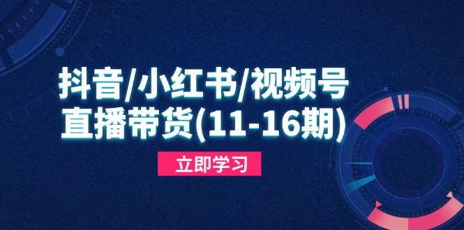 抖音/小红书/视频号/直播带货（11-16期），快速掌握平台规则，打造爆款内容插图