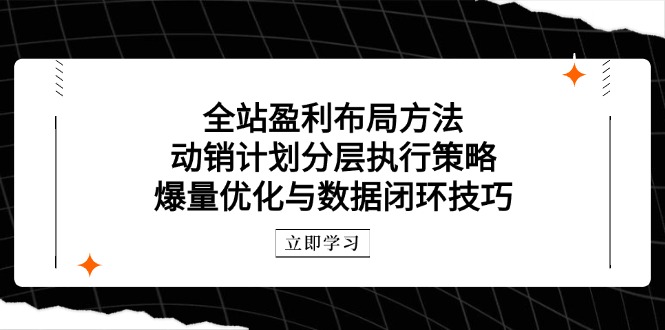 全站盈利布局方法：动销计划分层执行策略，爆量优化与数据闭环技巧插图