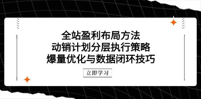 全站盈利布局方法：动销计划分层执行策略，爆量优化与数据闭环技巧插图