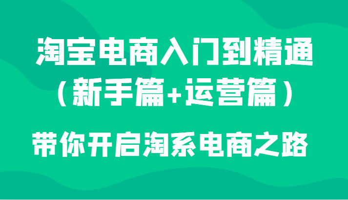 淘宝电商入门到精通（新手篇+运营篇）带你开启淘系电商之路插图